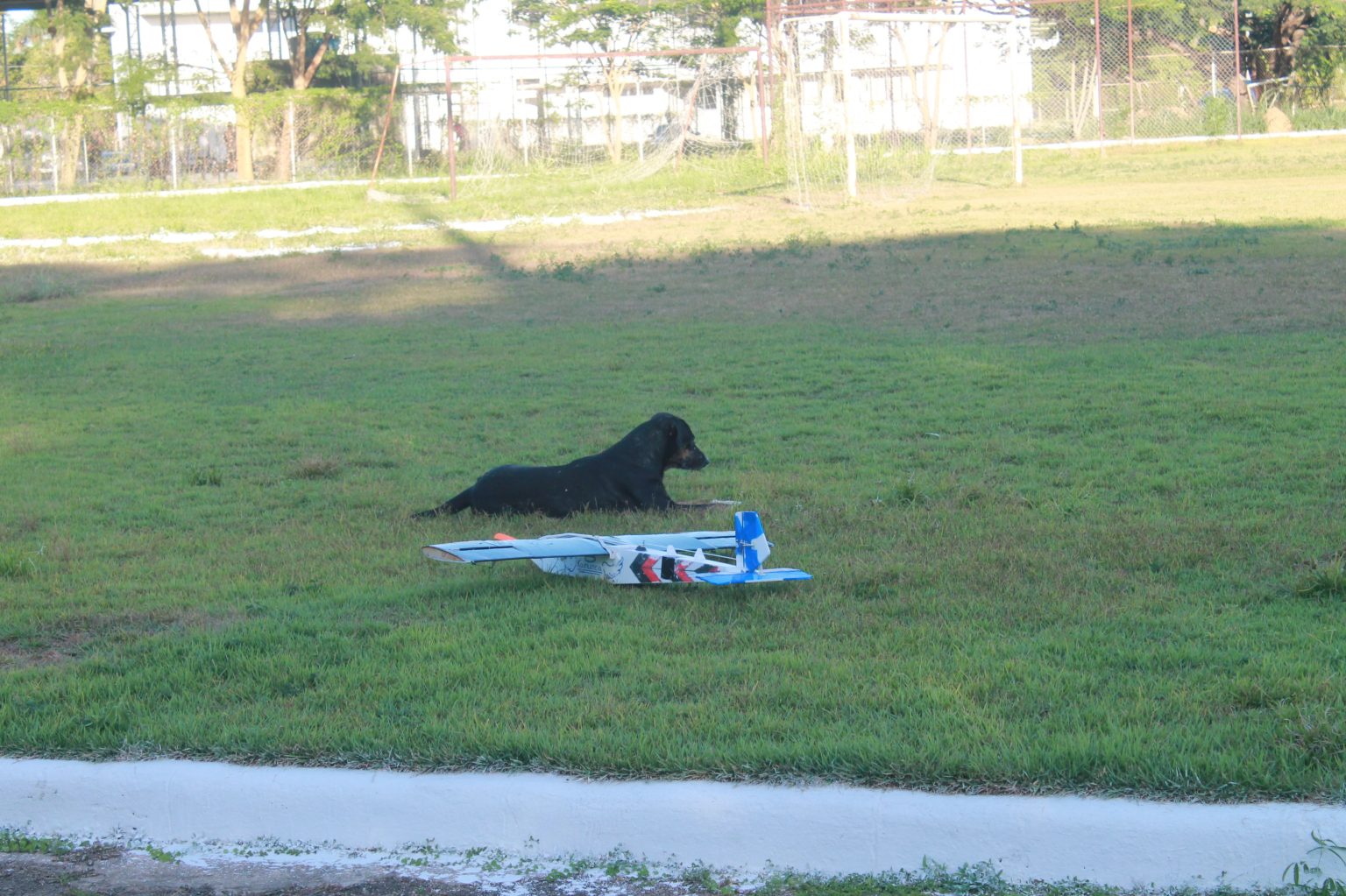DOGUINHO DA UNIMONTES E A AERONAVE